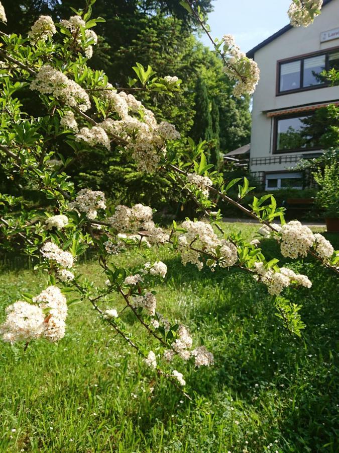 Landgasthof Gaensberg Вислох Экстерьер фото