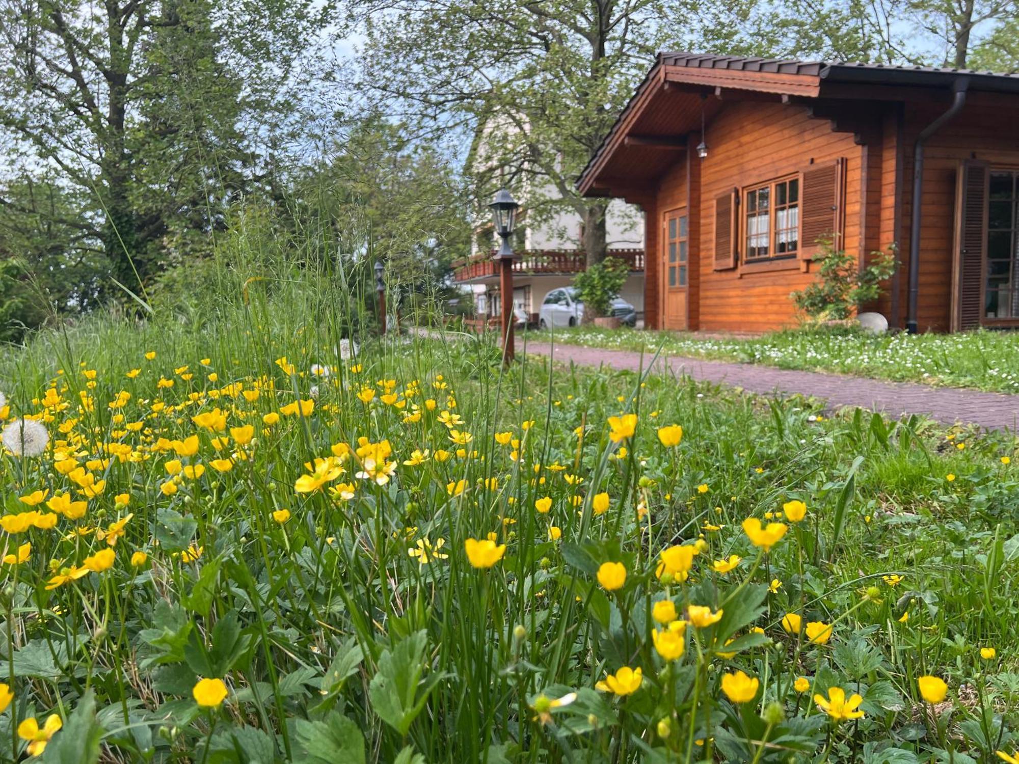 Landgasthof Gaensberg Вислох Экстерьер фото