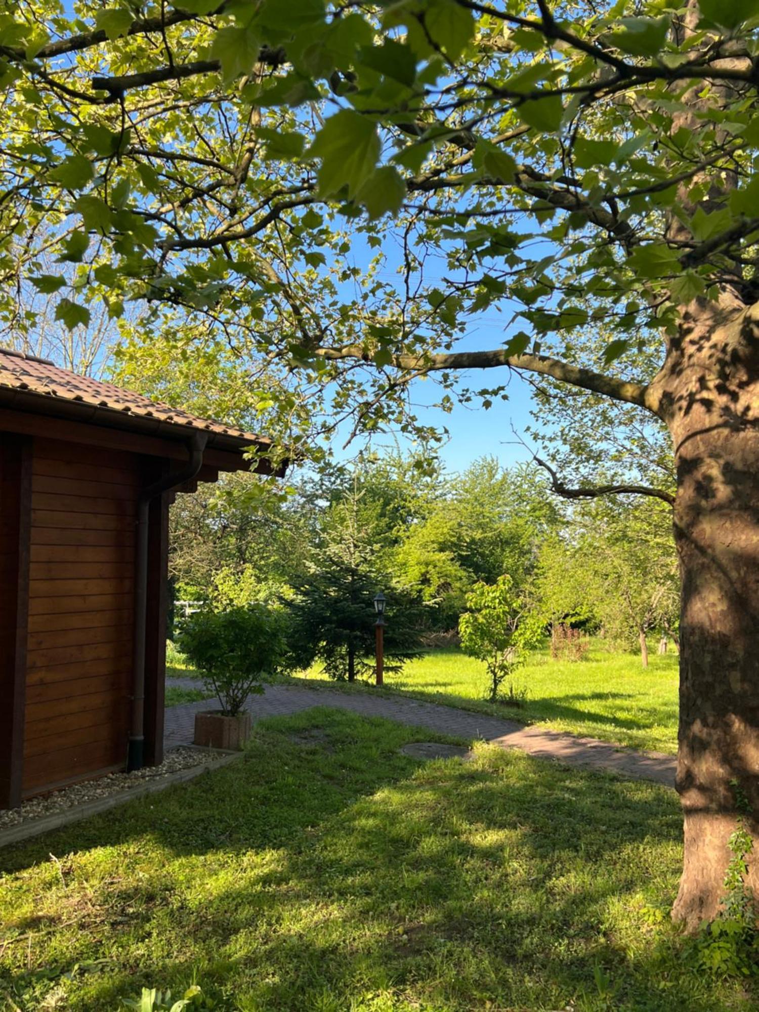 Landgasthof Gaensberg Вислох Экстерьер фото